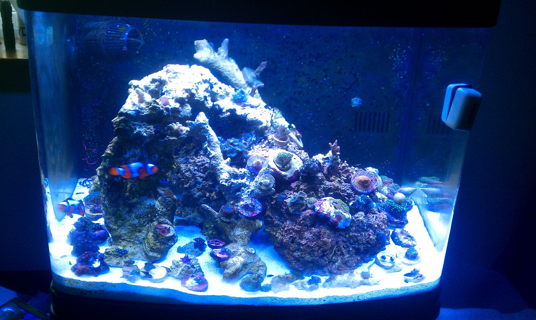 Best LED retrofit kit for Biocube? Reef Central Online Community
